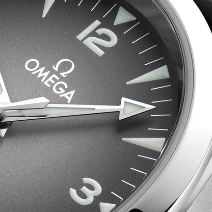Seamaster Railmaster 38mm - Grey on Leather Strap