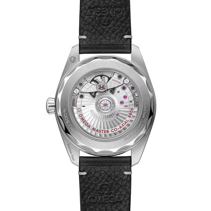 Seamaster Railmaster 38mm - Grey on Leather Strap