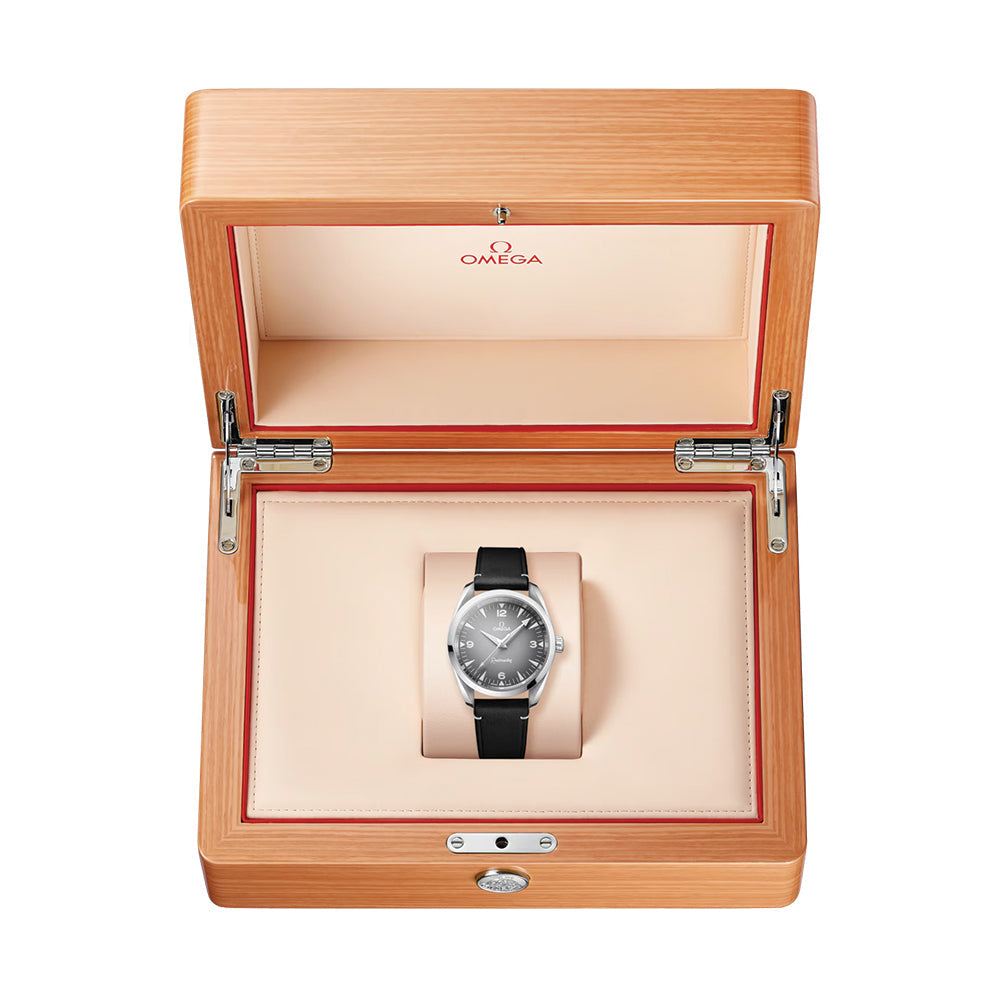 Seamaster Railmaster 38mm - Grey on Leather Strap