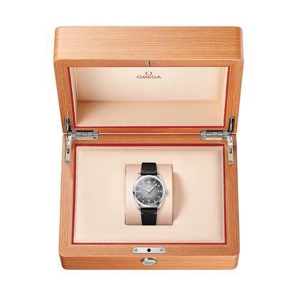 Seamaster Railmaster 38mm - Grey on Leather Strap