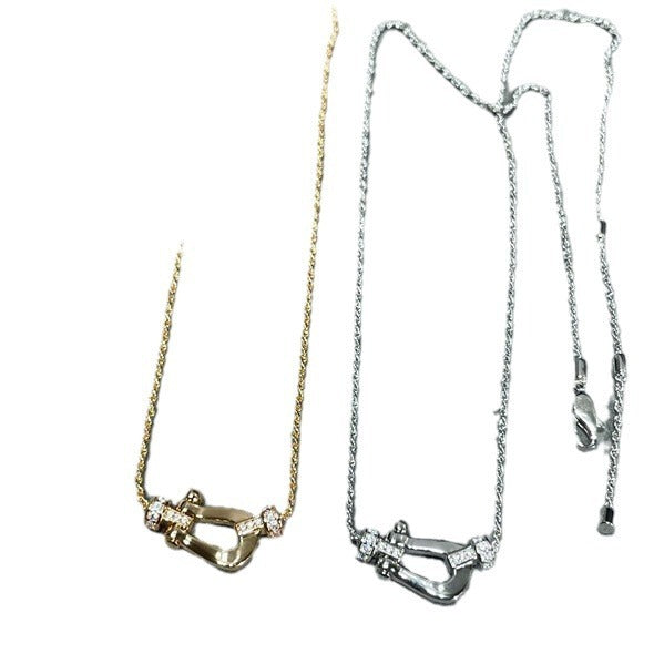 Luxurious high-end delicate necklace with a horseshoe clasp