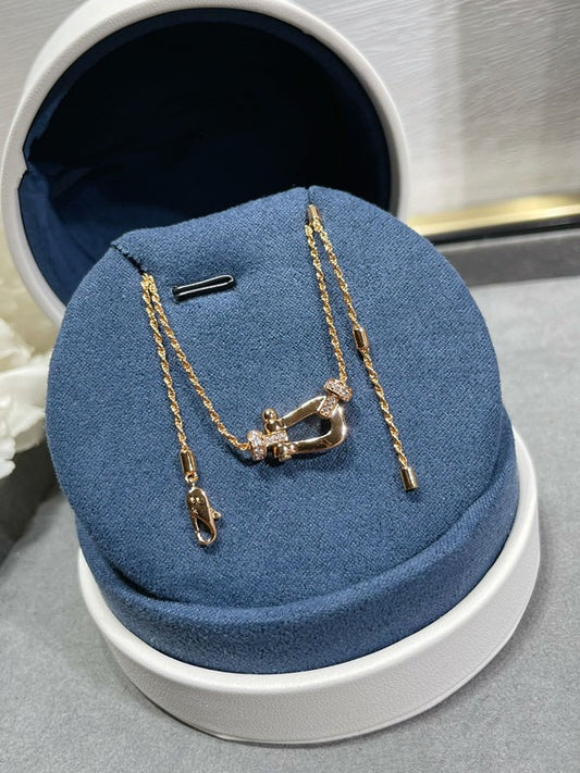 Luxurious high-end delicate necklace with a horseshoe clasp
