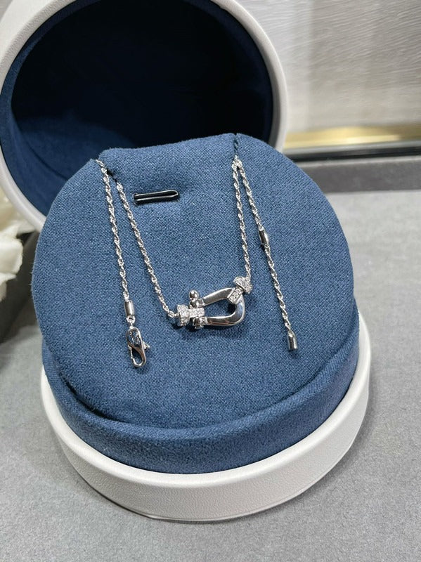 Luxurious high-end delicate necklace with a horseshoe clasp