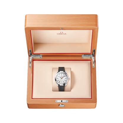 Seamaster Aqua Terra 150M 41mm - Silver on Rubber Strap